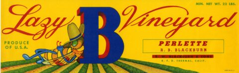 Lazy B Vineyard